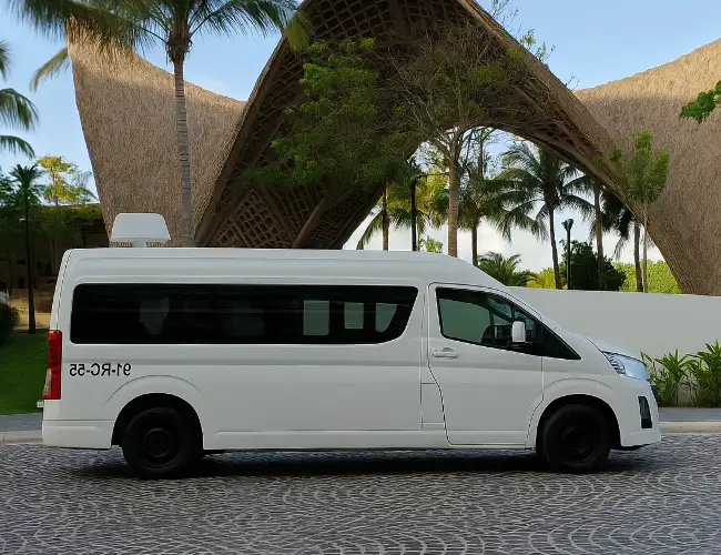 Pickup at your hotel on a private Akumal group tour